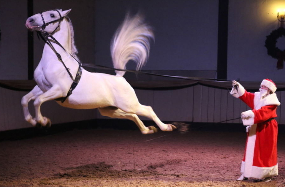 Revue Hofreitschule 2013 Schneekönigin